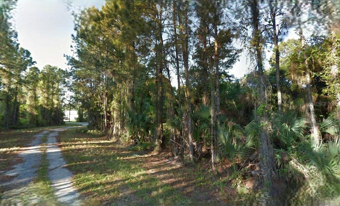 PORT CHARLOTTE SUB 25 - Land