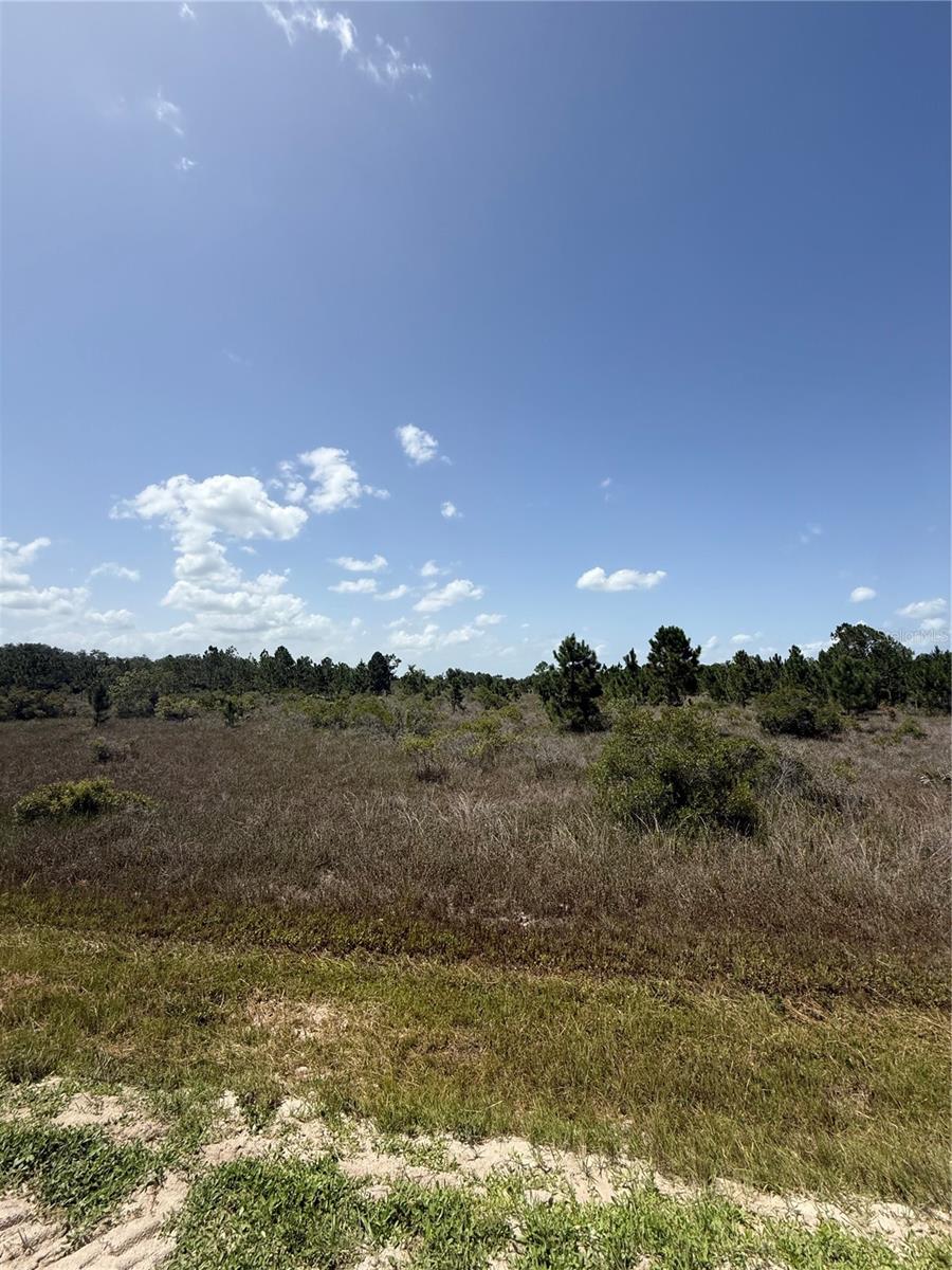 Build your dream home or invest in your own piece of Florida with this partially cleared vacant lot in the peaceful Viking/Prairie community of Okeechobee. With a portion of the clearing already completed, you'll save time and expense while still enjoying the flexibility to customize the property to fit your vision. This rural setting offers plenty of room for a home, workshop, RV, recreational vehicles, and more. No HOA and no required time frame to build. Please note: While the property has an assigned address of 15463 NW 306th Street, the lot is physically located on NW 304th Street, making access convenient from the maintained roadway. Buyer to verify zoning, land use, utilities, wetlands, and all building requirements during their due diligence. Don't miss this opportunity to own affordable land in one of Okeechobee's growing rural communities!