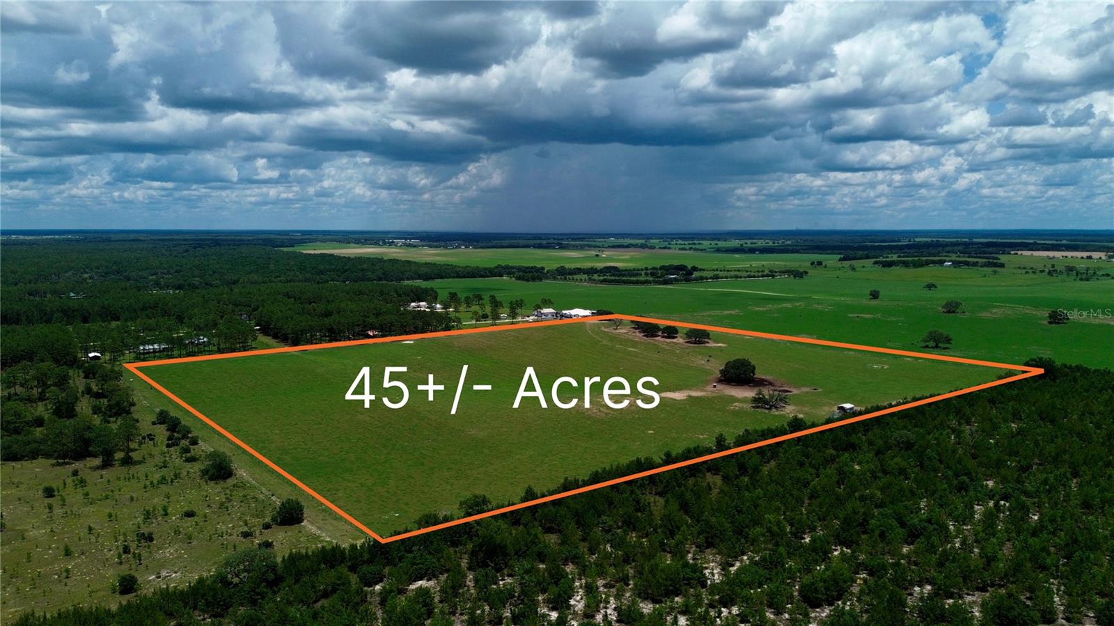 Exceptional 44.7± acre agricultural opportunity just off State Road 121 in rural Levy County, FL. This beautiful rolling acreage features lush grass and mature oaks lining the hills along the eastern boundary. The gentle roll gives the land's natural drainage an advantage over flat ground for row-crop and pasture use. Positioned on a major north-south corridor with a perimeter fence, this property is ready for immediate agricultural, grazing, equestrian use, or farm estate development.
For equestrian buyers, the location offers easy access to the region's premier hubs: a 29-minute drive to the billion-dollar World Equestrian Center and just 22 minutes from HITS Post Time Farm.