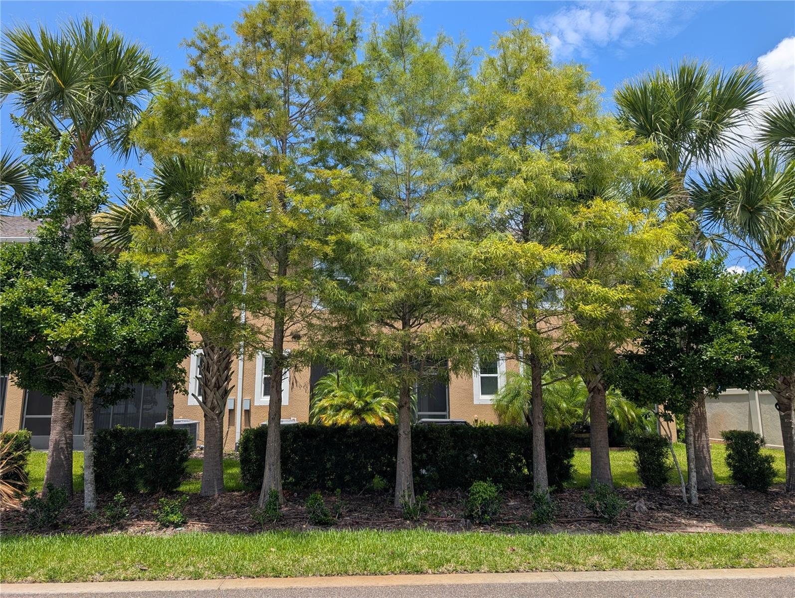 LAKESHORE PRESERVE - Residential Lease
