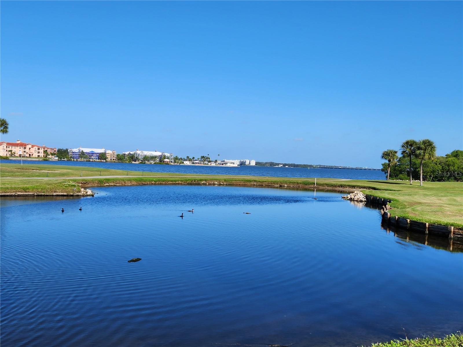 COVE CAY VILLAGE III - Residential