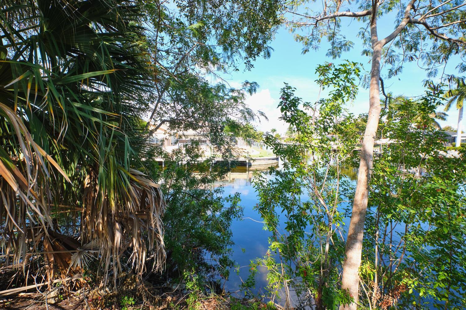 CAPE CORAL - Land