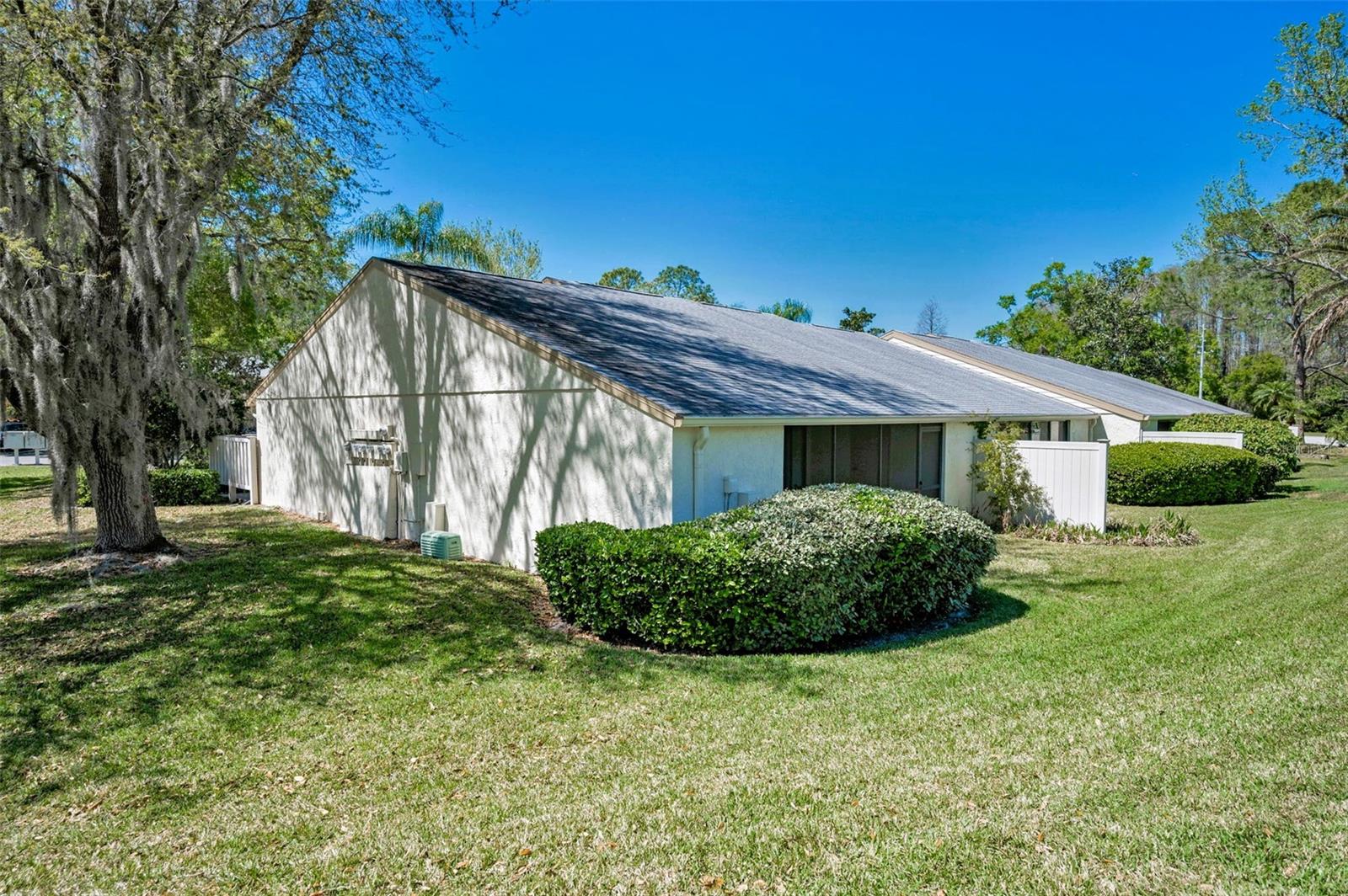 PINE RIDGE AT LAKE TARPON VILLAGE - Residential