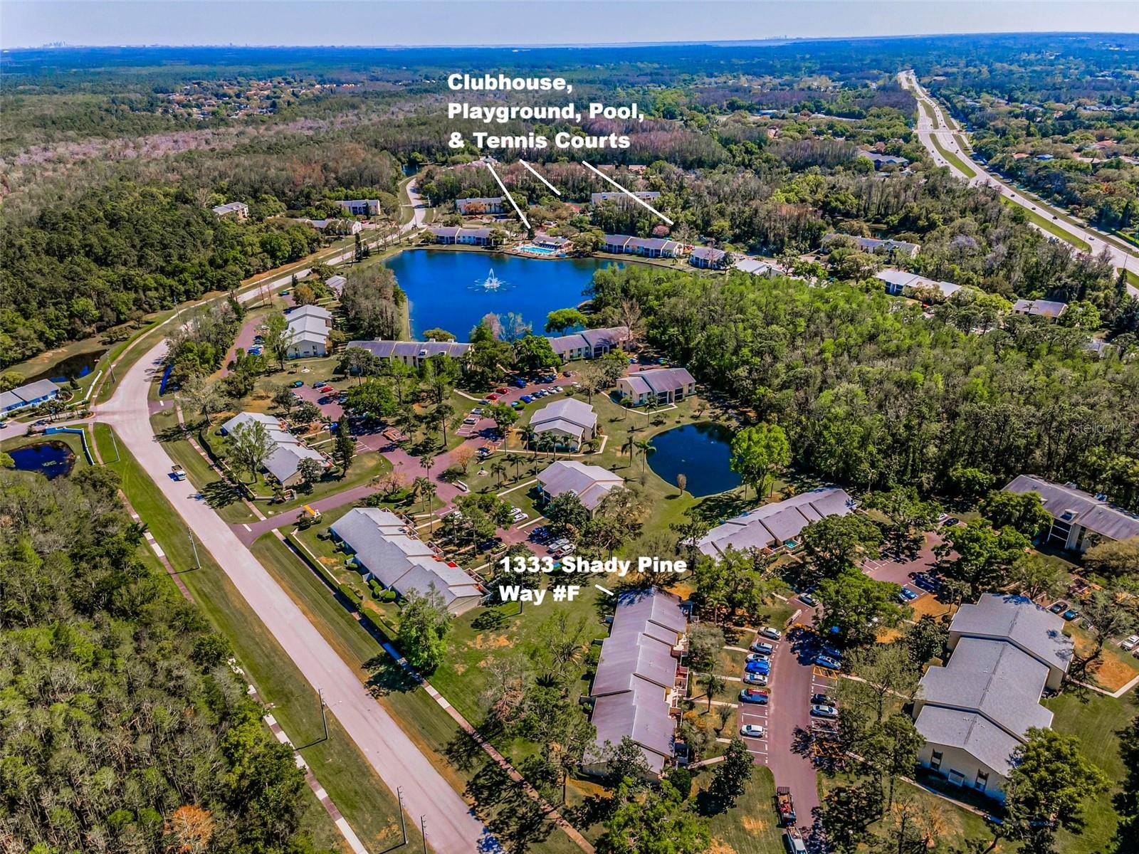 PINE RIDGE AT LAKE TARPON VILLAGE - Residential