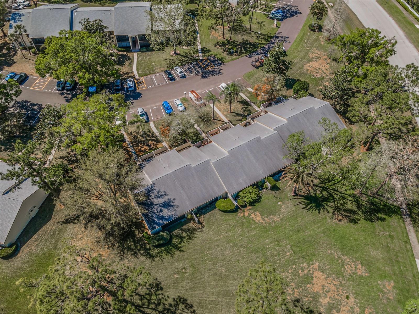PINE RIDGE AT LAKE TARPON VILLAGE - Residential