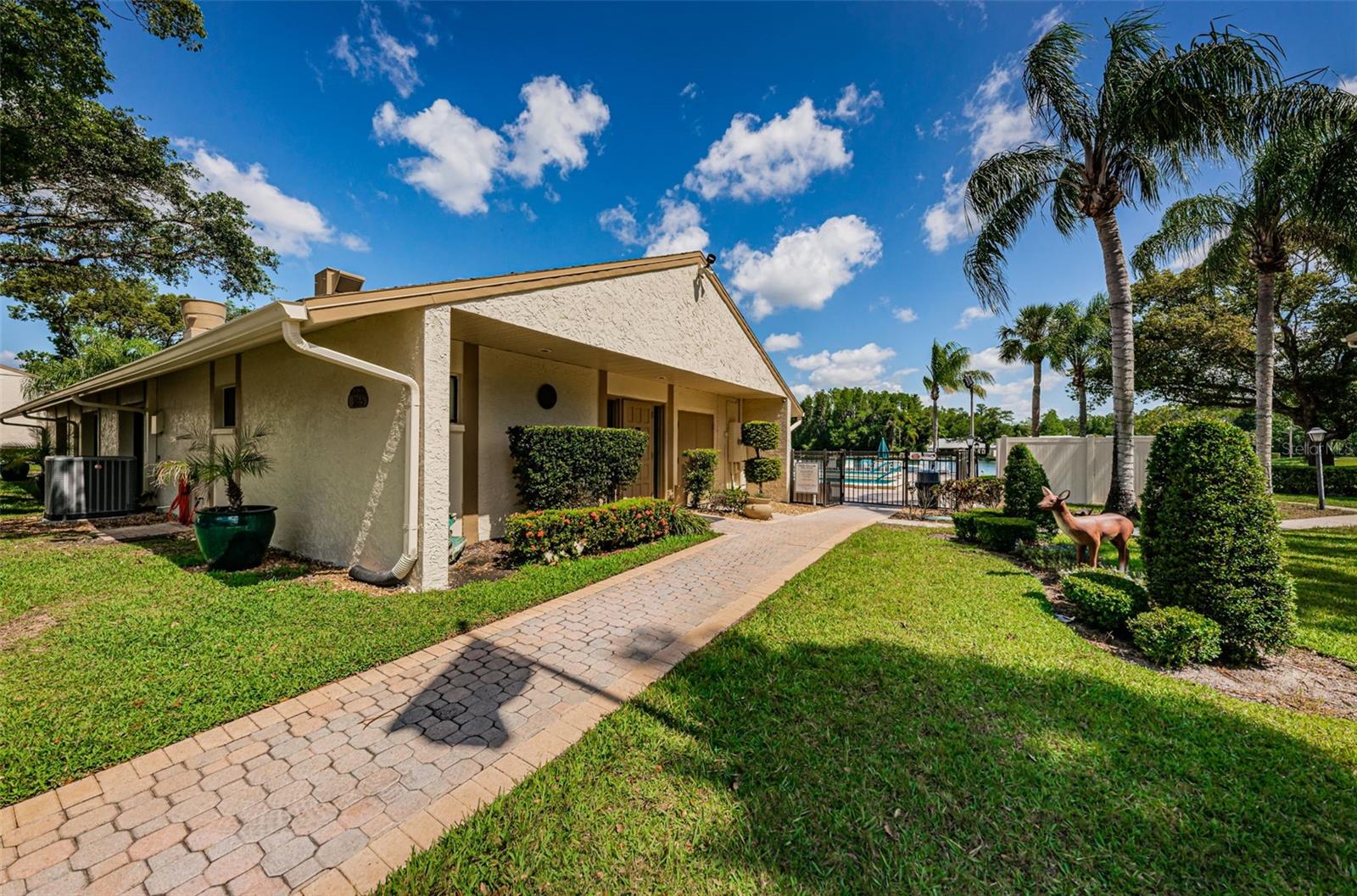 PINE RIDGE AT LAKE TARPON VILLAGE - Residential
