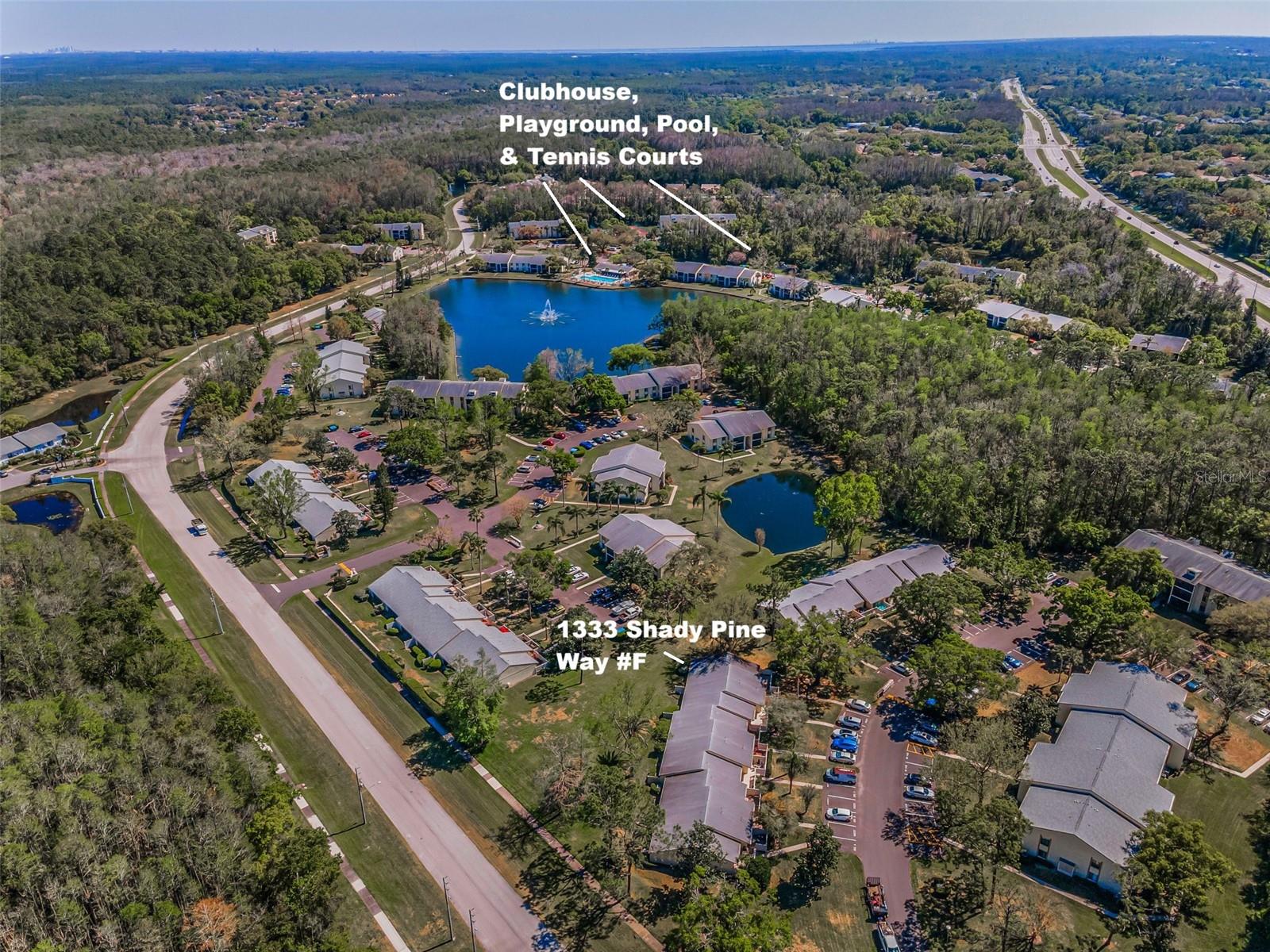 PINE RIDGE AT LAKE TARPON VILLAGE - Residential