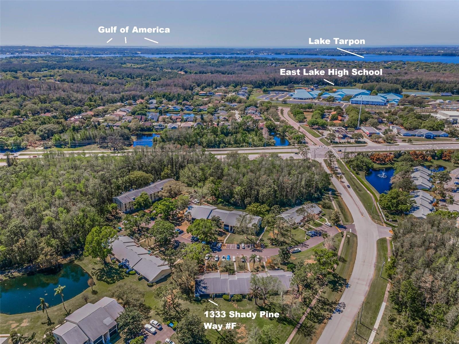 PINE RIDGE AT LAKE TARPON VILLAGE - Residential