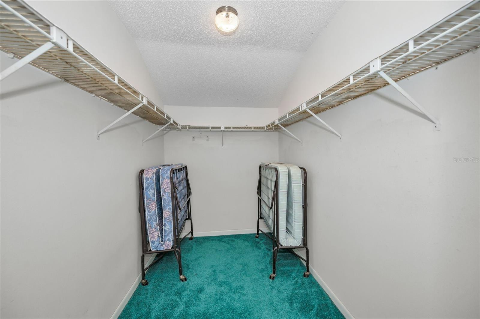 PINE RIDGE AT LAKE TARPON VILLAGE - Residential