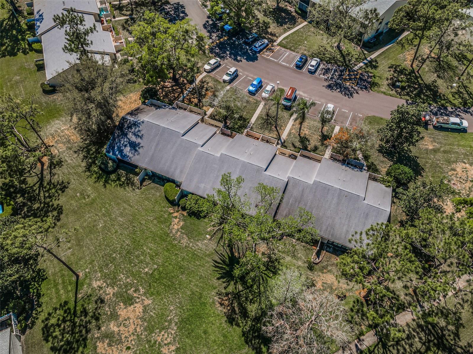 PINE RIDGE AT LAKE TARPON VILLAGE - Residential