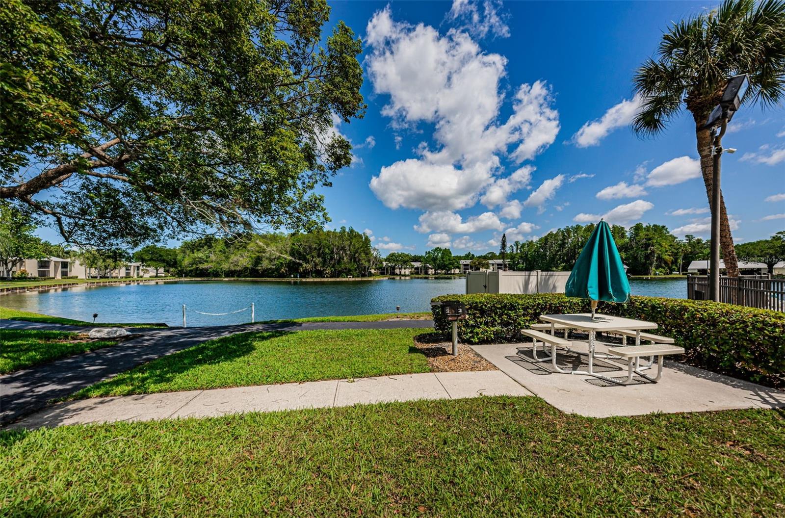 PINE RIDGE AT LAKE TARPON VILLAGE - Residential
