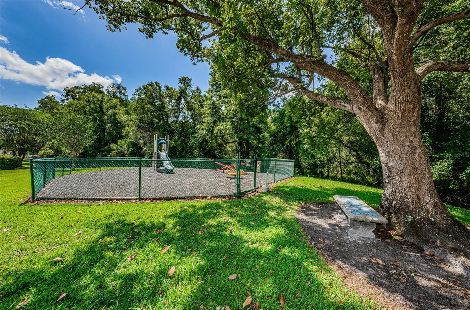 PINE RIDGE AT LAKE TARPON VILLAGE - Residential