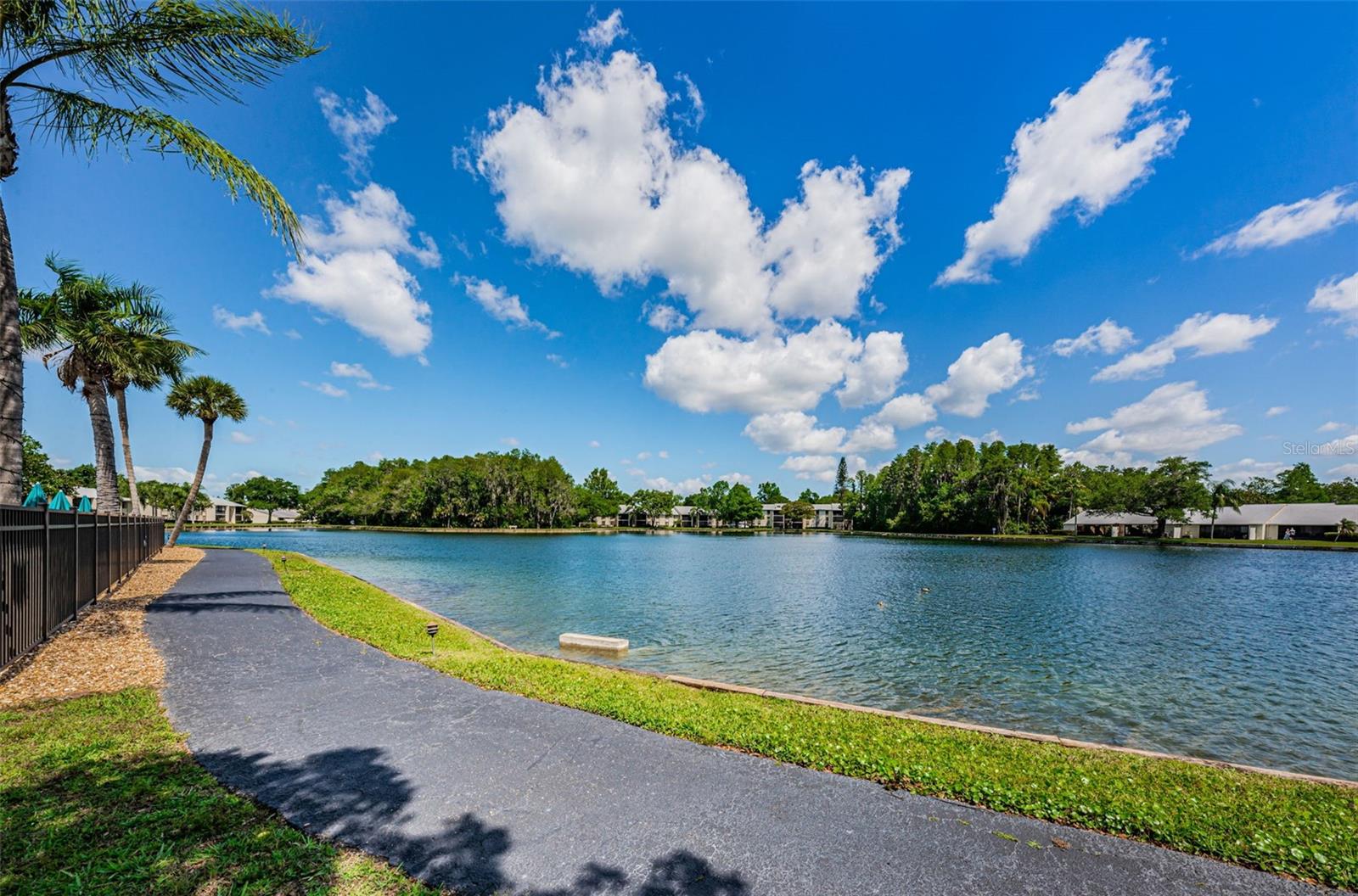 PINE RIDGE AT LAKE TARPON VILLAGE - Residential