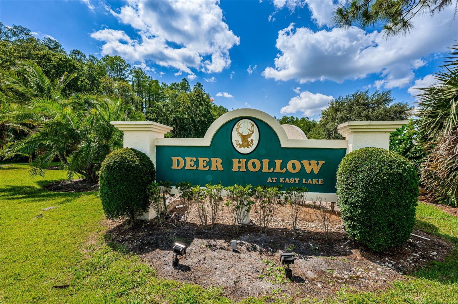 PINE RIDGE AT LAKE TARPON VILLAGE - Residential