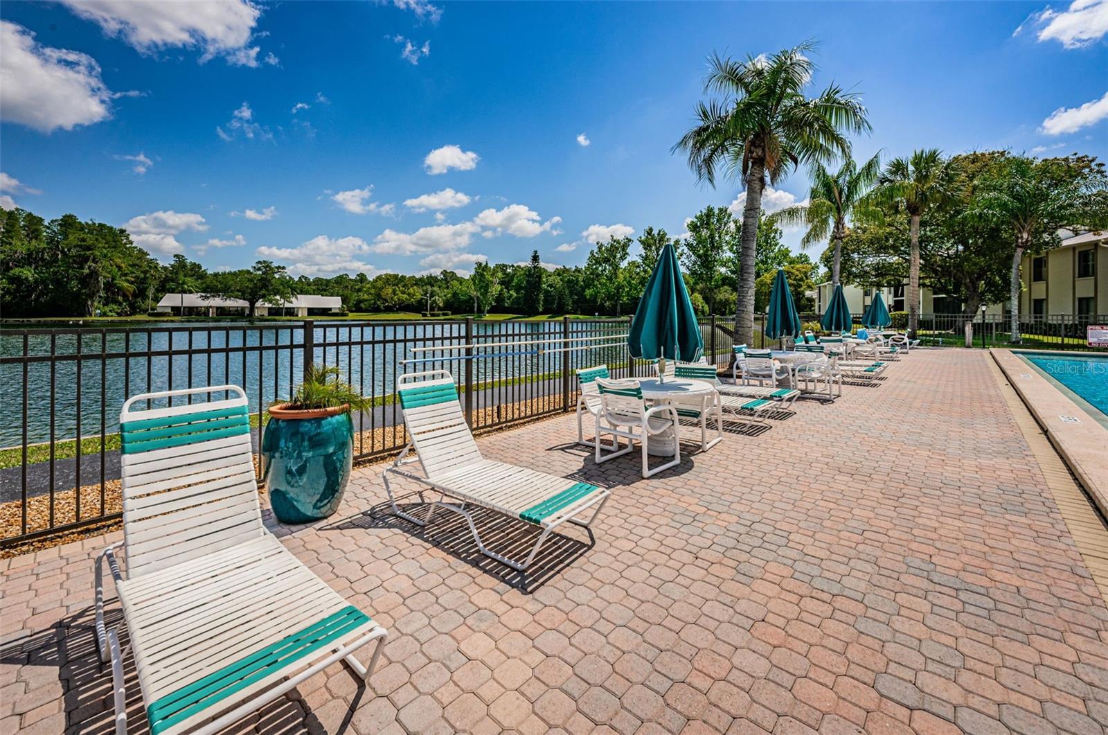 PINE RIDGE AT LAKE TARPON VILLAGE - Residential