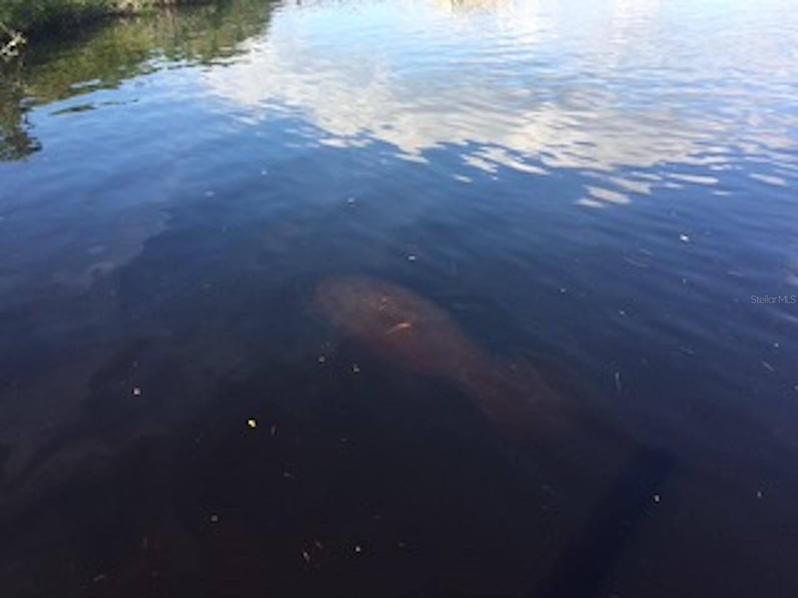 MYAKKA COUNTRY - Land
