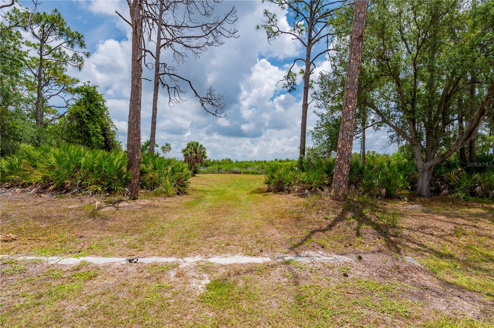 MYAKKA COUNTRY - Land