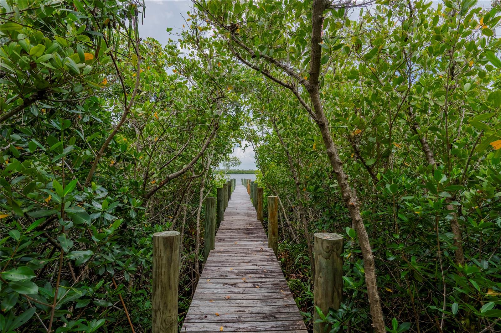 MYAKKA COUNTRY - Land