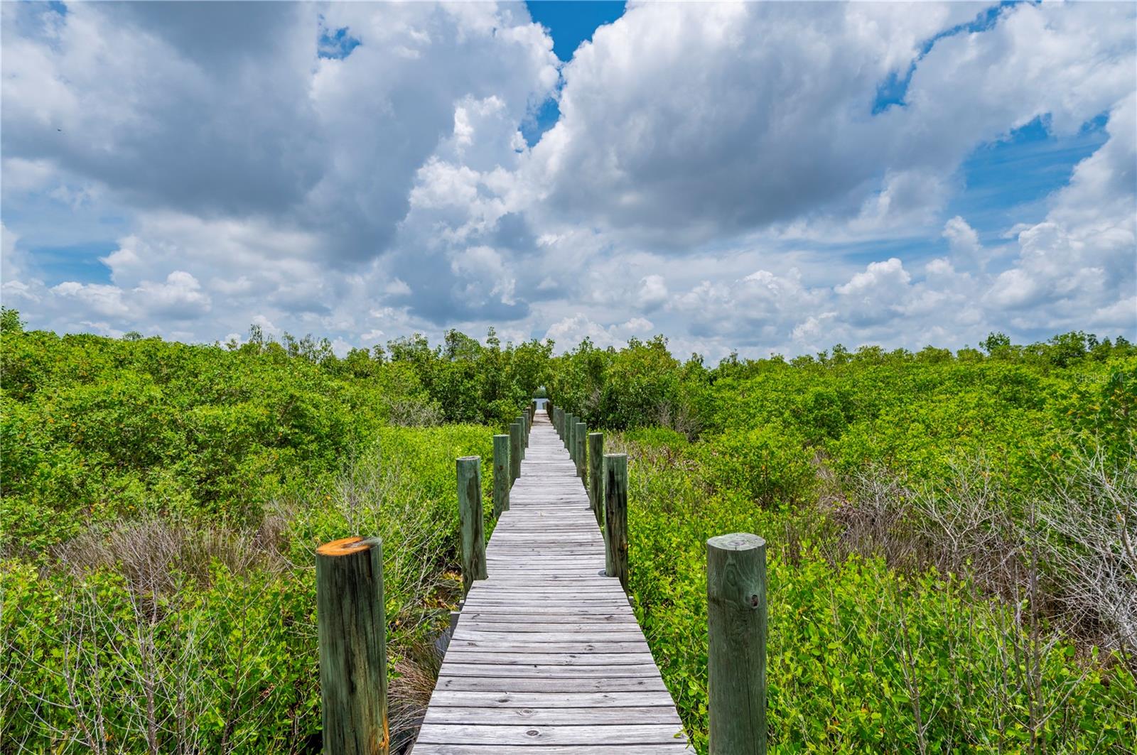 MYAKKA COUNTRY - Land