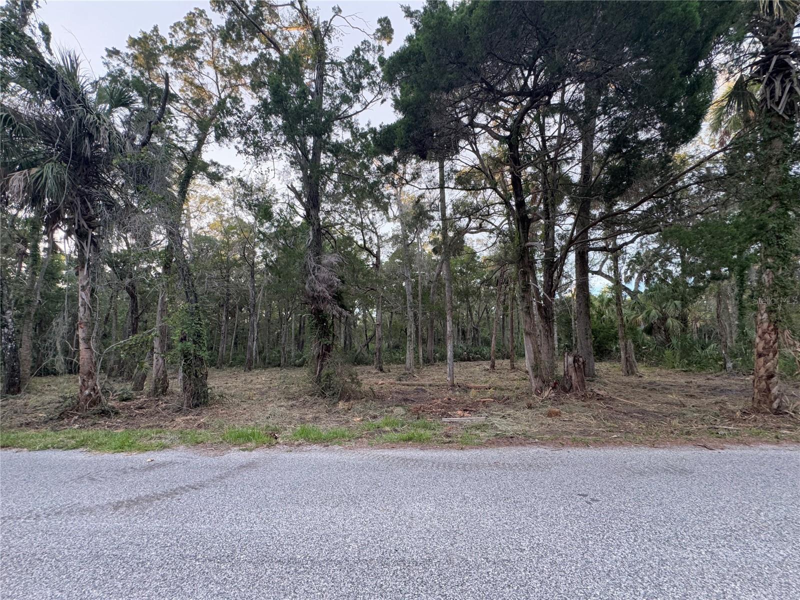 HOMOSASSA COMPANYS SUB 7 - Land