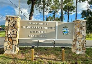 HOMOSASSA COMPANYS SUB 7 - Land