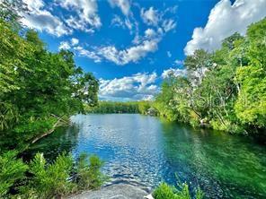 HOMOSASSA COMPANYS SUB 7 - Land