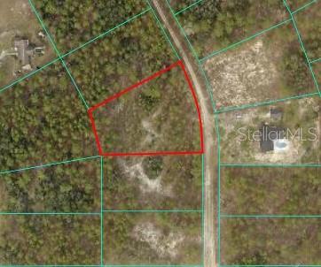 ***Limited Time Opportunity! Adjacent 1.16-acre Lot 6 N 1/2 to the South is also available--Both lots are sold separately.*** 
Discover a rare chance to own a spacious 1.39-acre buildable homesite in Ocala’s coveted Rolling Hills community. This high-and-dry property provides ample space to design your custom luxury home, surrounded by peace, privacy, and the natural beauty of Florida. 
Take advantage of the freedom to create your ideal rural retreat—build a custom workshop, hook up your RV, add a pool, or design an equestrian-inspired estate—all with no HOA or CDD fees. Rolling Hills offers the perfect balance of quiet country living while still being just minutes from the World Equestrian Center, Rainbow Springs State Park, shopping, and dining. This community is celebrated for its large home sites, serene atmosphere, and flexibility, giving you the space and freedom to craft a property that truly fits your lifestyle. Whether you’re seeking long-term value, a private estate, or a relaxing rural escape, this lot delivers endless possibilities. Listing agent is part owner and has a personal interest in the property.