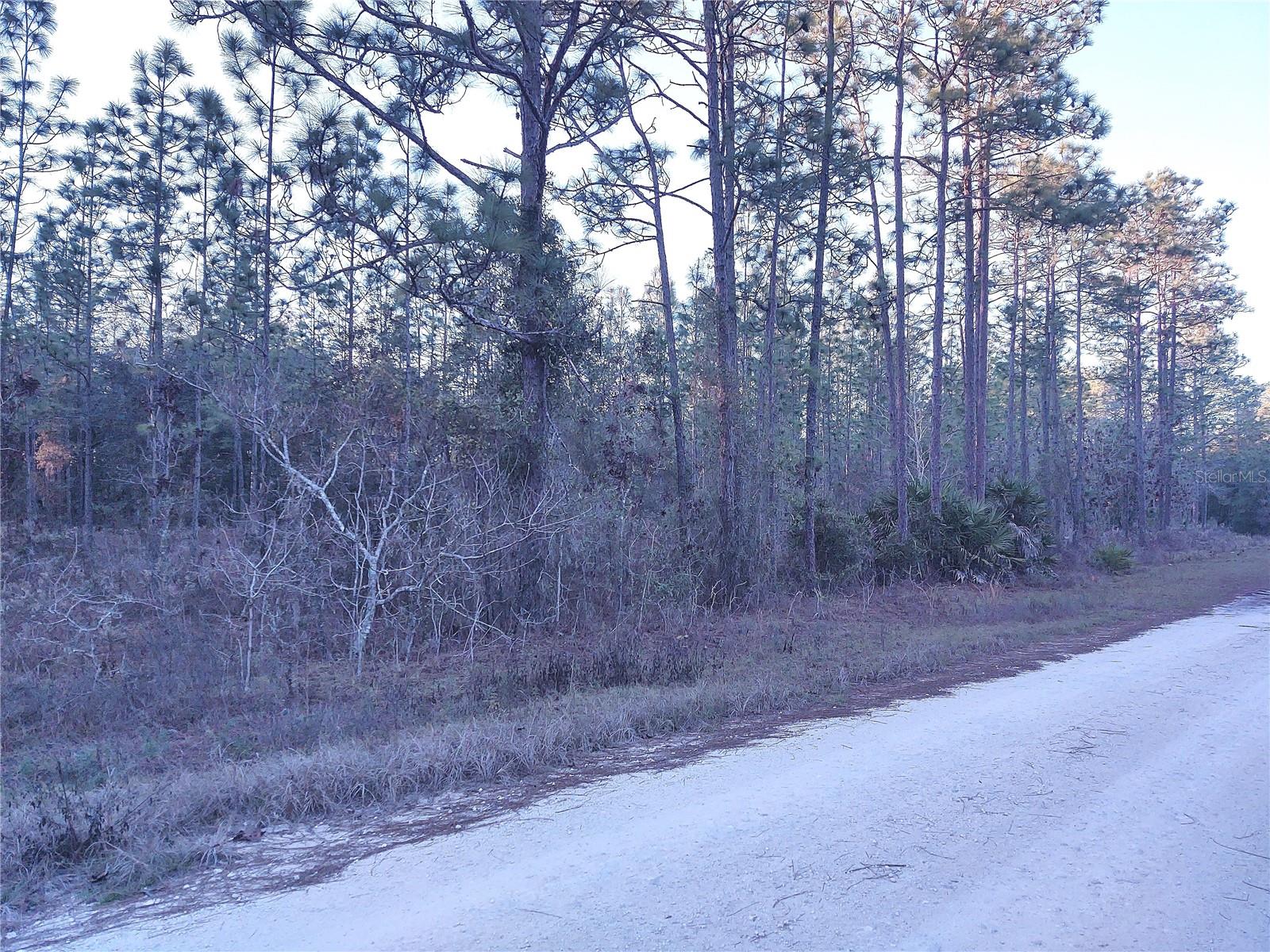 ROLLING HILLS UNIT 4 - Land