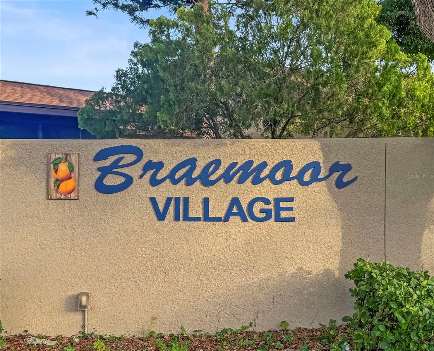 BRAEMOOR LAKE VILLAS - Residential