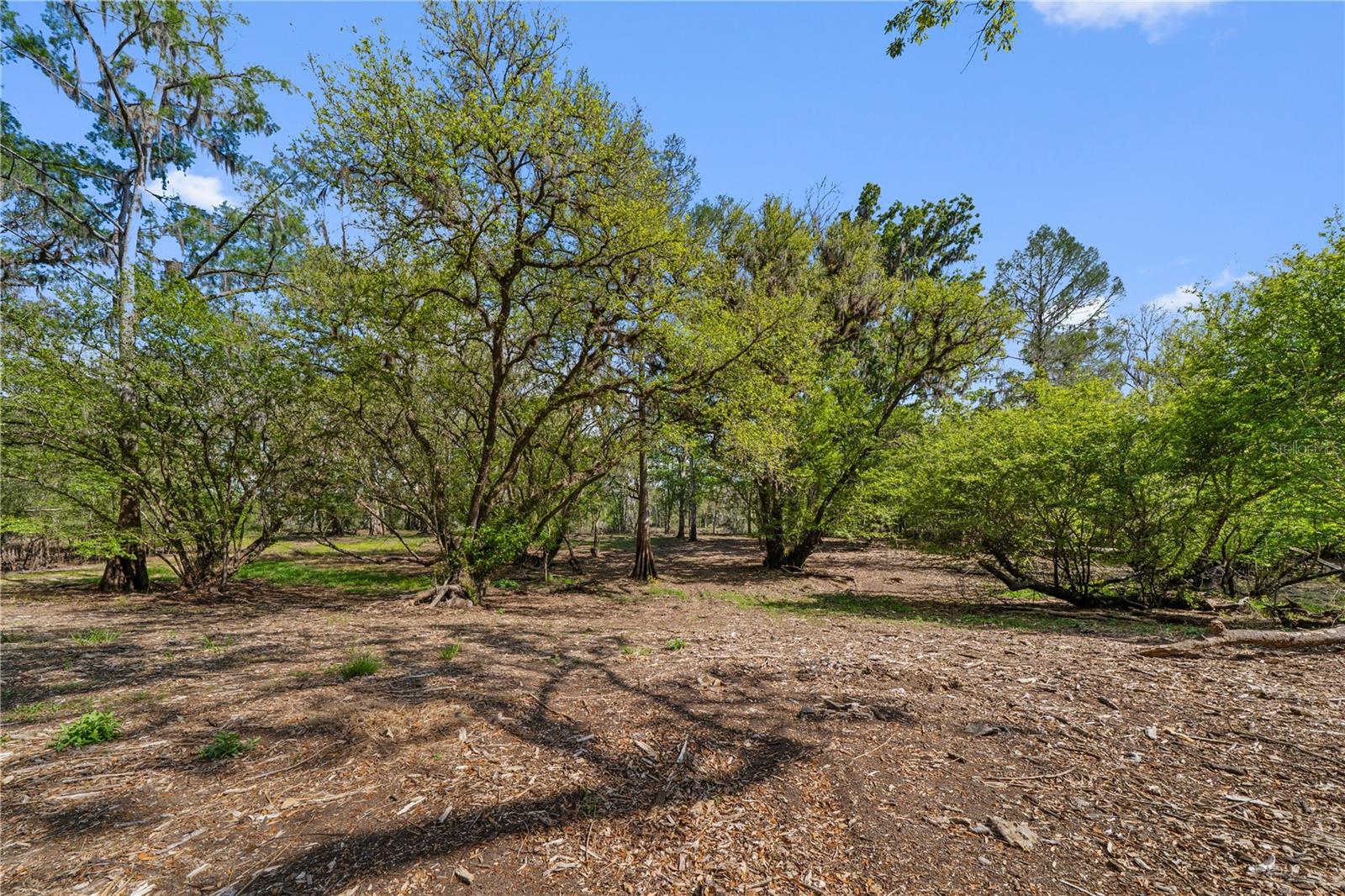 EDS ACRES - Land