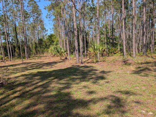 Are you looking for Land to Build on - well here's over 10 Acres of Peace and Quiet on a Pond. A lot of trees have been cleared. You will however need to add septic. There is a temporary power pole. There are 2 barn like sheds on property. Even if you are not looking to build but looking for a 4 wheel adventure with your family. Come check this beautiful piece of property out.