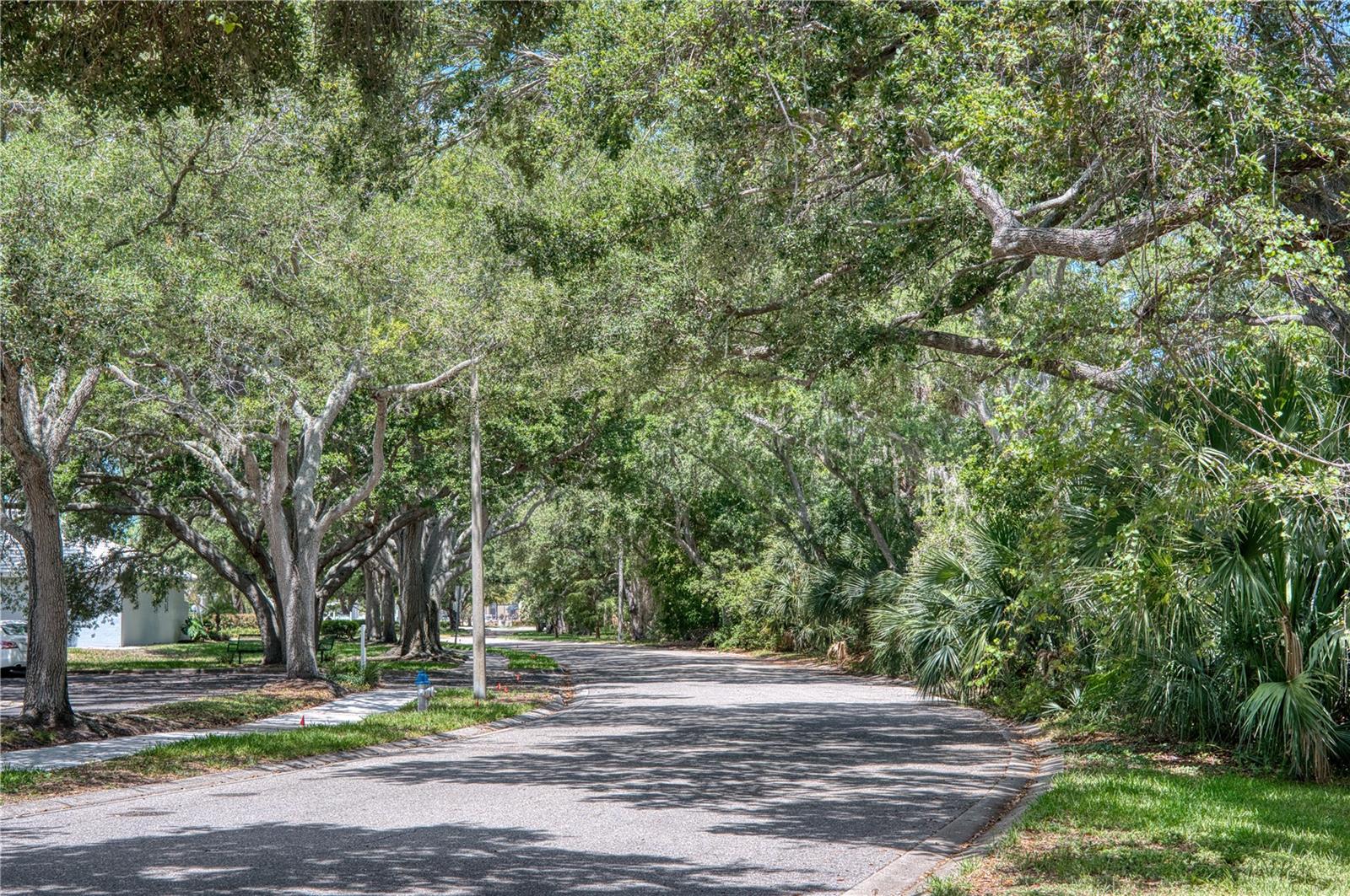THE LINKS AT PINEBROOK PH III - Residential