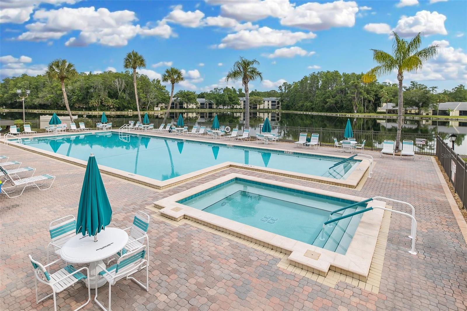 PINE RIDGE AT LAKE TARPON VILLAGE - Residential