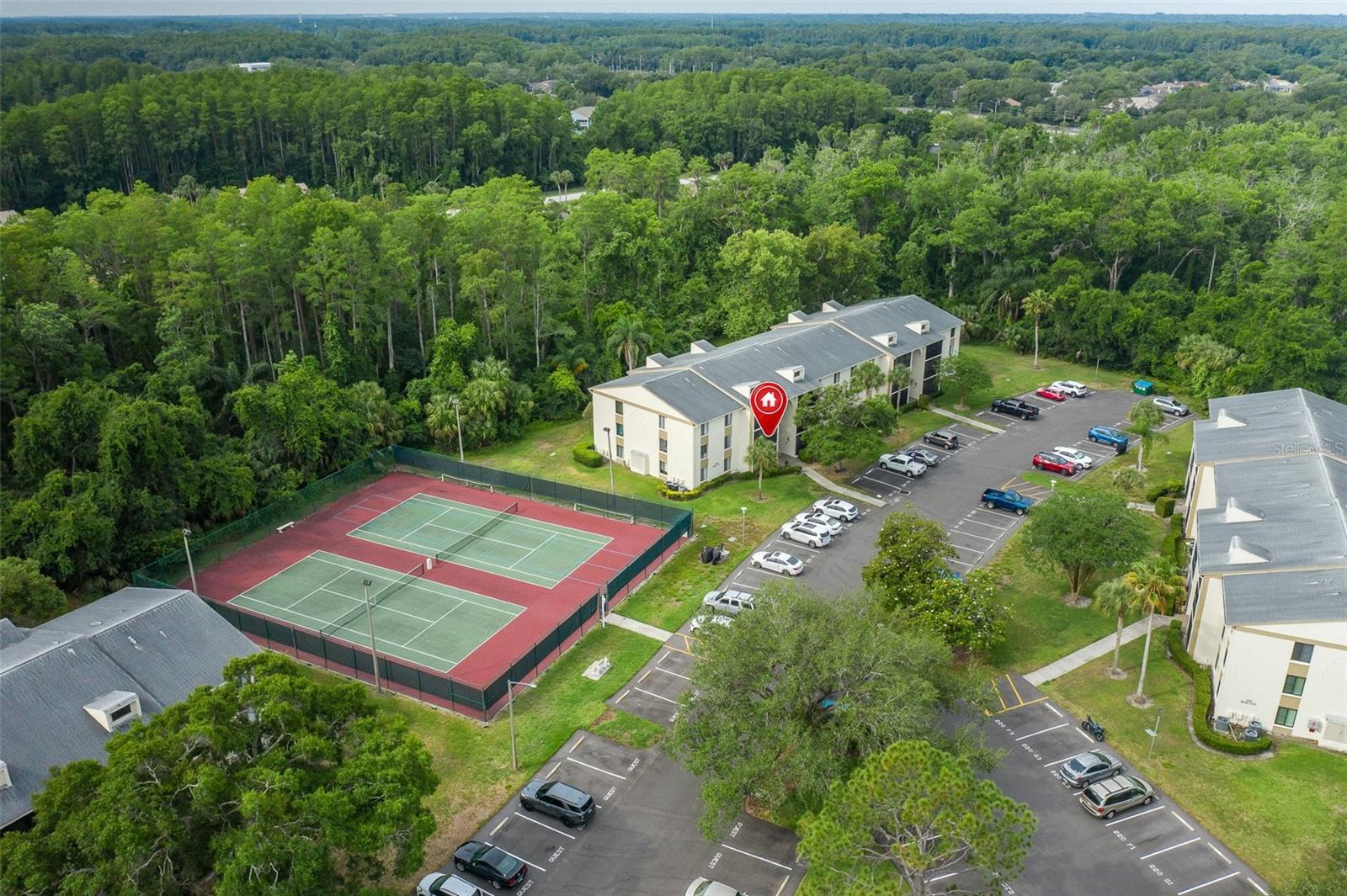 PINE RIDGE AT LAKE TARPON VILLAGE - Residential
