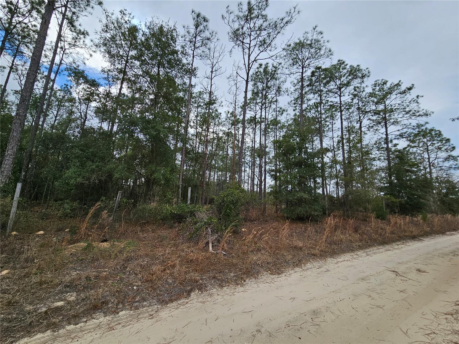 FENCED 2 ACRE PARCEL IN THE FARMS AT WILLISTON! Ideally located just off Hwy 27 Alt between Williston and Bronson, this level and usable 2 acre parcel offers the perfect blend of rural space and modern convenience. The property measures approximately 283 feet of road frontage by 309 feet deep, providing ample room for your plans. Whether you’re looking to build a site-built home or create a small homestead, this property is well-suited for a variety of residential uses in a peaceful country setting. High-speed fiber internet is available through Fiber by Central Florida, making it easy to enjoy rural living without giving up reliable connectivity. An adjacent 2 acre parcel is also available from the same owner, offering a rare opportunity to expand to a total of 4 acres. Enjoy space, flexibility, and a central location—ready for your vision.