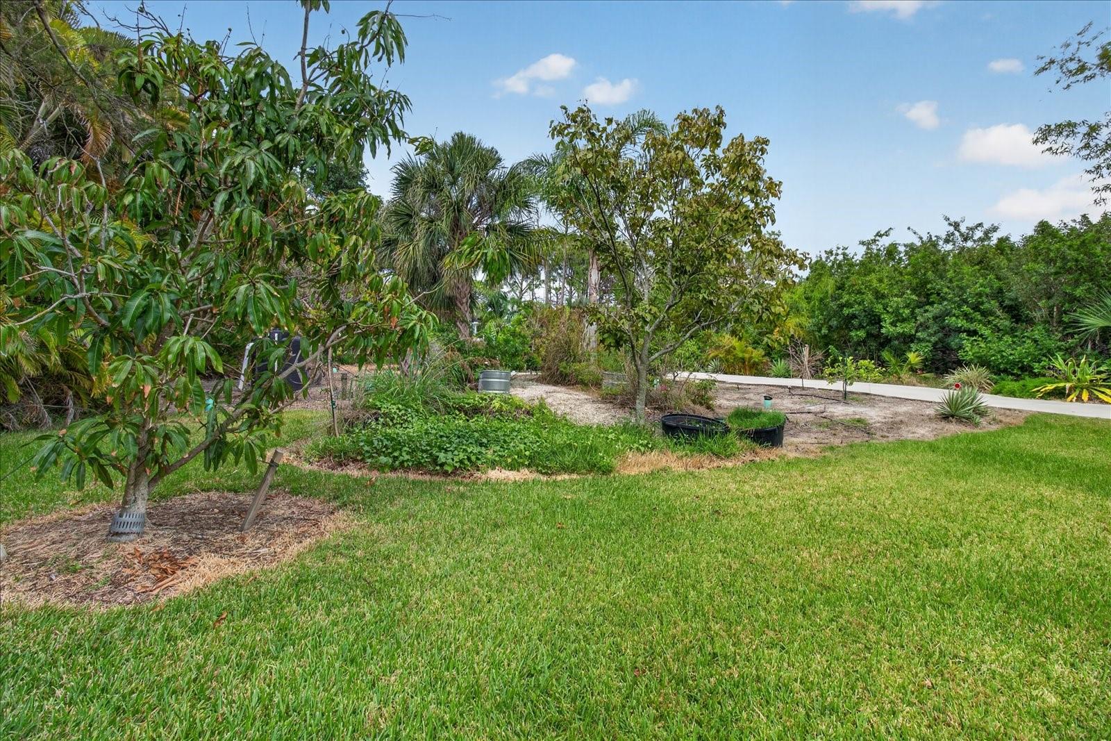 SOUTH VENICE - Residential