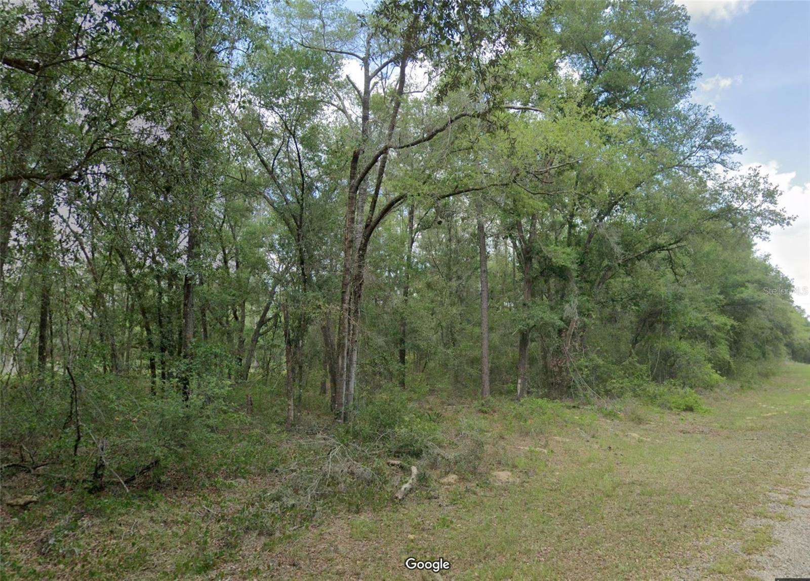 Nice building lot for single-family homes in the quickly growing subdivision of Citrus Springs!! ...what are you waiting for...Citrus Springs boasts the Withlacoochee Trail for biking and hiking, golf course, community center...near the gulf, near Ocala horse country... No time frame to build in...homes only subdivision, no mobile homes...no HOA!! Come build your dream home now!! NOTE: Seller owns and is also selling the adjoining lot...737 E Byrd Loop...$14,900 for each lot.