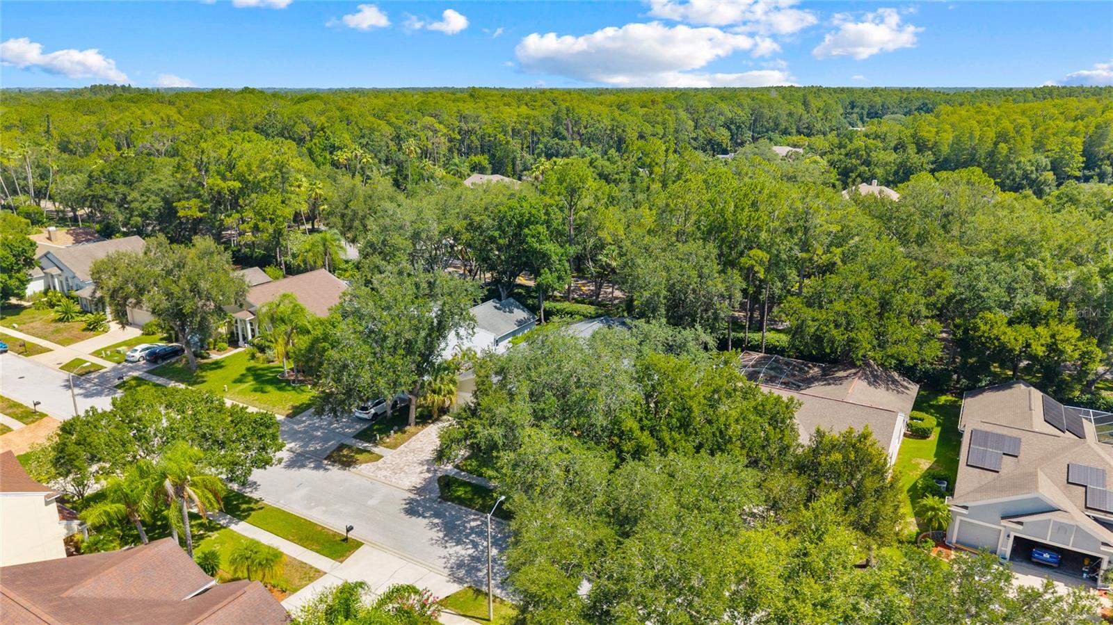 ELLINWOOD PH 1 - Residential