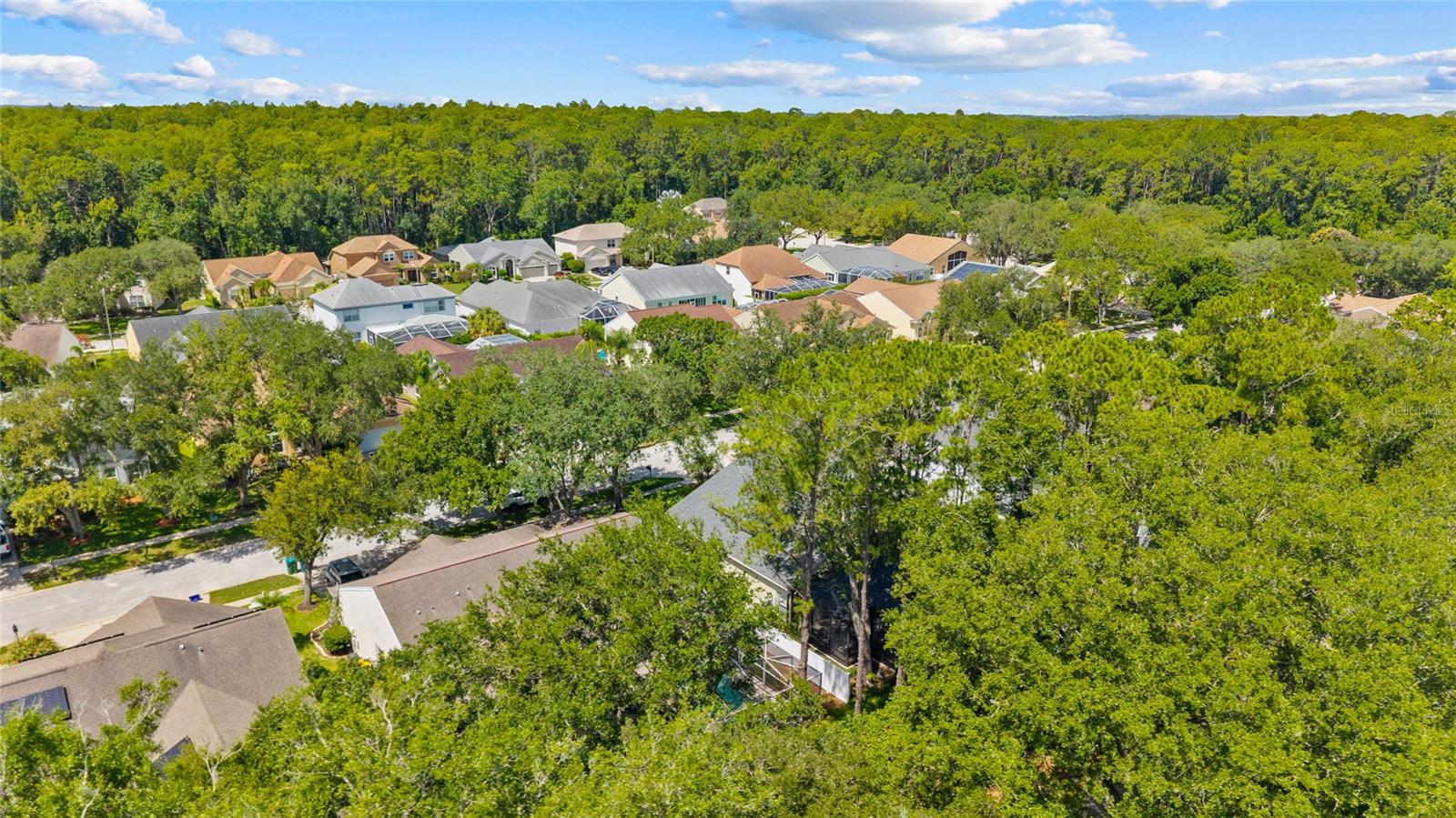 ELLINWOOD PH 1 - Residential