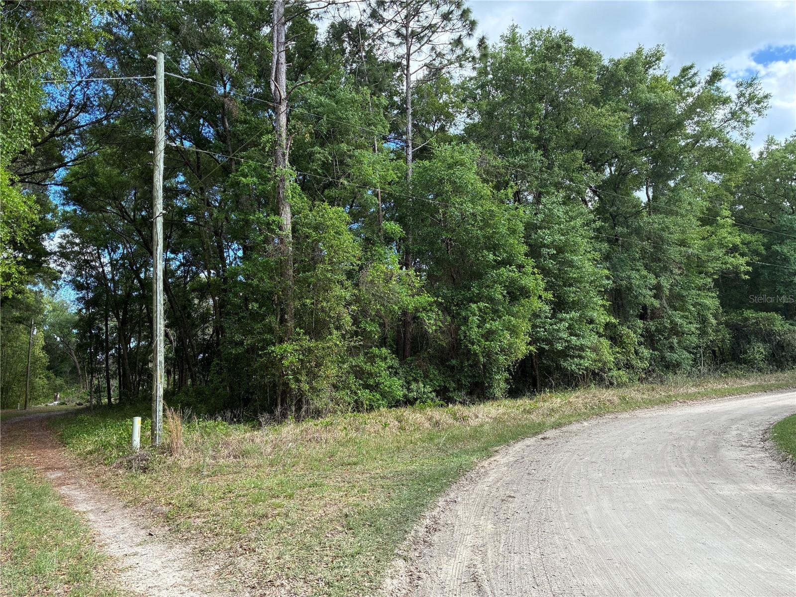 Discover the perfect canvas for your dream home in the heart of Ocklawaha. This spacious 1.23-acre parcel is zoned for residential acreage, offering endless possibilities to create the lifestyle you've been envisioning. Conveniently located less than half a mile from downtown Ocklawaha, you'll enjoy quick access to local dining, shopping, and everyday essentials. Just minutes away, Lake Weir provides the perfect setting for outdoor recreation, including boating, fishing, kayaking, and waterfront dining at popular spots like Gator Joe's and Eaton's Beach. With ample space for privacy, outdoor living, or even a small hobby farm, this property offers the flexibility to bring your vision to life. Best of all, the land is high and dry and not located in a flood zone. Don't miss this opportunity to own a beautiful piece of land that blends peaceful surroundings with close-to-town convenience.  Property is not zoned for mobile/manufactured homes. Modular or site-built new construction may be permitted, subject to county requirements. Buyer and Buyer's Agent are responsible for independently verifying zoning, land use, building requirements, and intended use with the appropriate county authorities prior to submitting an offer.