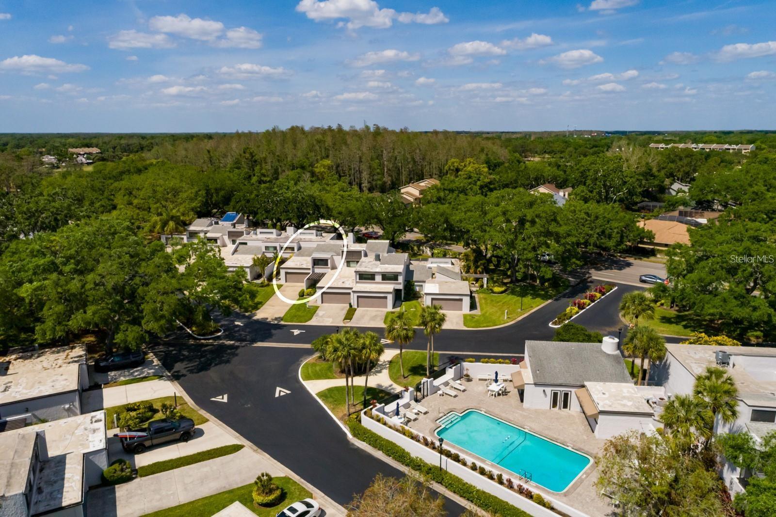 CARROLLWOOD VILLAGE FAIRWAY TO - Residential Lease