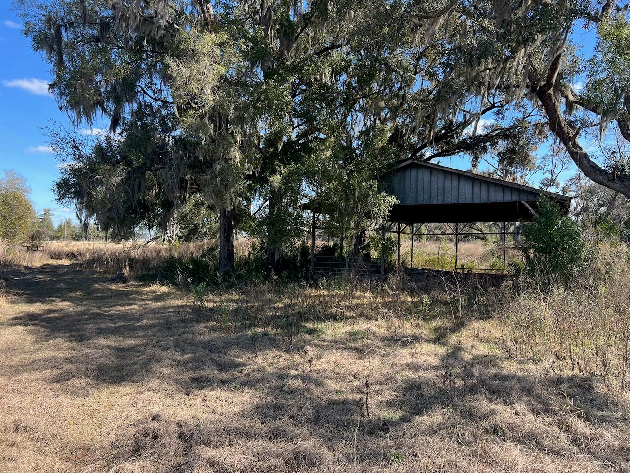 68± Acres of Prime Development Land – South of Williston, Florida.....Located just south of Williston along the well-traveled US-41 corridor, this exceptional 68± acre tract presents a rare opportunity for large-scale residential development in one of north central Florida’s expanding markets. Mostly cleared and development-ready, the property is beautifully accented by massive, heritage “granddaddy” live oaks that create an iconic Old Florida landscape—an increasingly scarce feature that immediately elevates project identity and end-user appeal.

The tract’s location offers a strong foundation of economic drivers. It sits adjacent to established agricultural operations, a regional trucking company, a prominent local peanut business, and other thriving commercial enterprises along US-41. This blend of agriculture, logistics, and service-based industry supports consistent workforce and managerial housing demand, providing built-in absorption potential for thoughtfully planned residential product.

Significantly, because the property borders Williston Middle High School (walk to school!), creating an exceptional opportunity for planning a subdivision with long term desirability on a beautiful piece of land.

The 68 contiguous acres feature favorable topography and are already zoned residential, allowing for efficient site planning and flexibility in design. The existing cleared portion may reduce some initial development costs, while the preserved mature oaks provide natural focal points for community entrances, green space integration, or estate-style homesites. The scale of the tract allows for a range of potential concepts, from executive large-lot subdivisions to workforce housing communities or build-to-rent neighborhoods designed to meet growing regional demand.

Williston benefits from its proximity to larger growth centers while maintaining a more accessible price point for both developers and end users. Current construction in Williston includes Aldi and WaWa, as well as new townhomes in same  general school area....demonstrating that parcels surrounding Williston are gradually being absorbed. Contiguous, zoned appropriately, and positioned near schools and employment corridors—are increasingly rare to assemble.

For development groups seeking scale, infrastructure access, aesthetic character, and strong market fundamentals, this 68± acre offering represents a compelling residential opportunity in the expanding North Central Florida corridor.