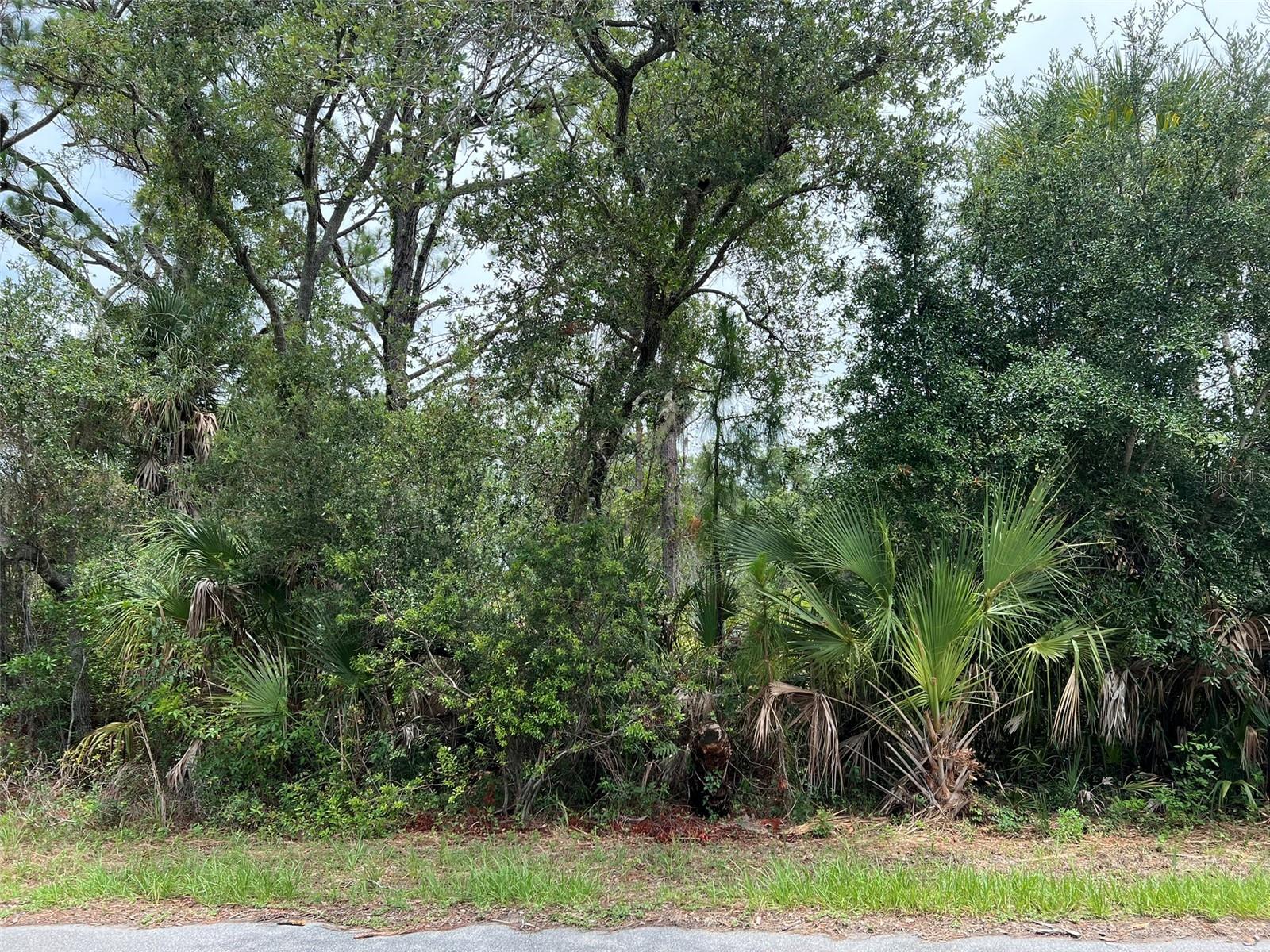PORT CHARLOTTE SEC 049 - Land
