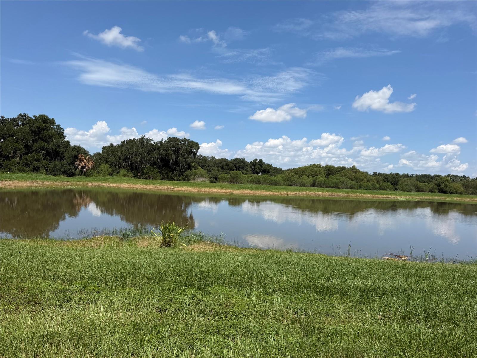 MONTEREY/LAKEWOOD RANCH - Residential