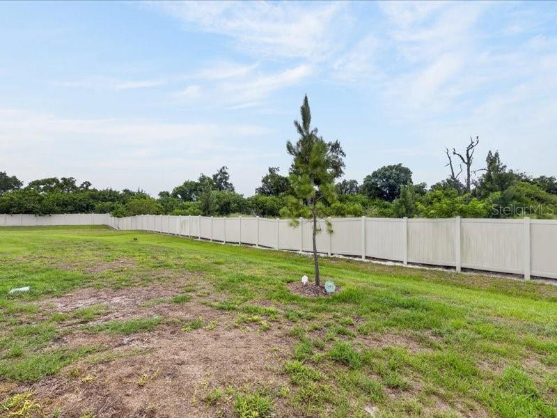 MANGROVE POINT PH 2 & 3 - Residential