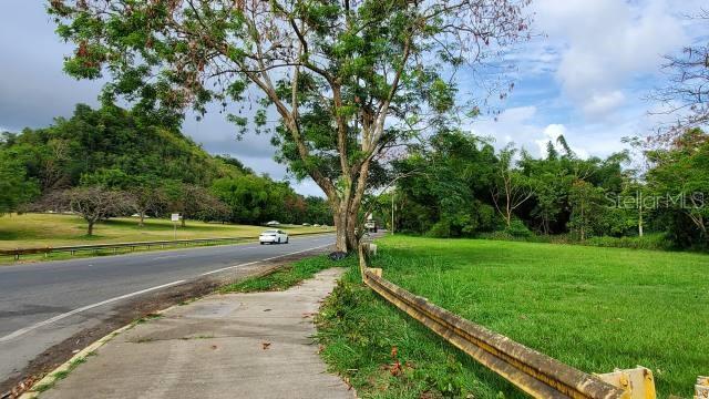 BAYAMON 18 CUERDAS IN FRONT OF PR 22 - Land