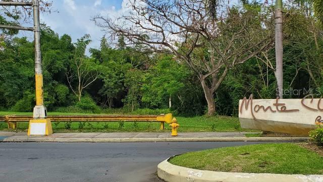 BAYAMON 18 CUERDAS IN FRONT OF PR 22 - Land