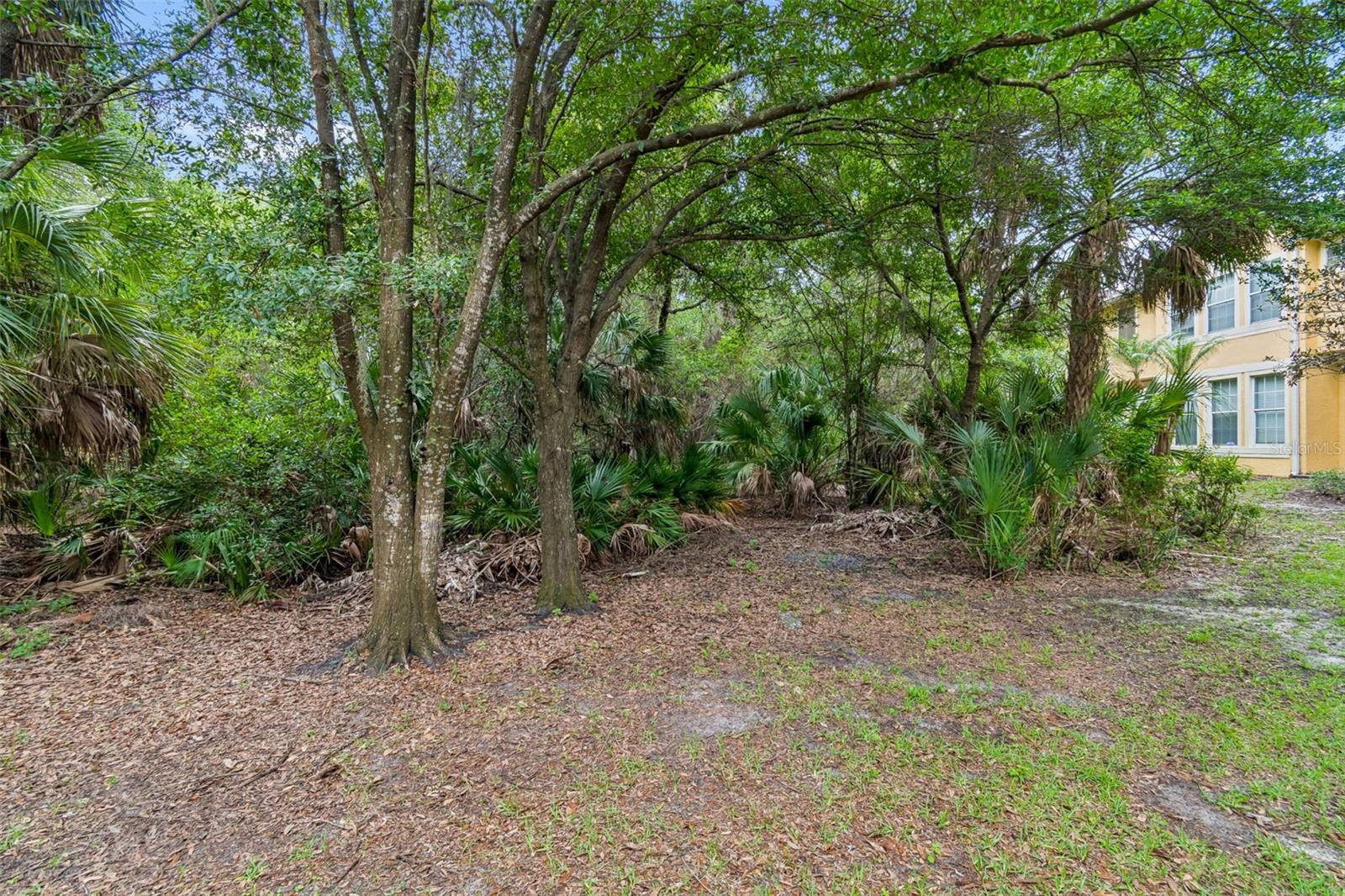 EAGLE PALM PH 1 - Residential