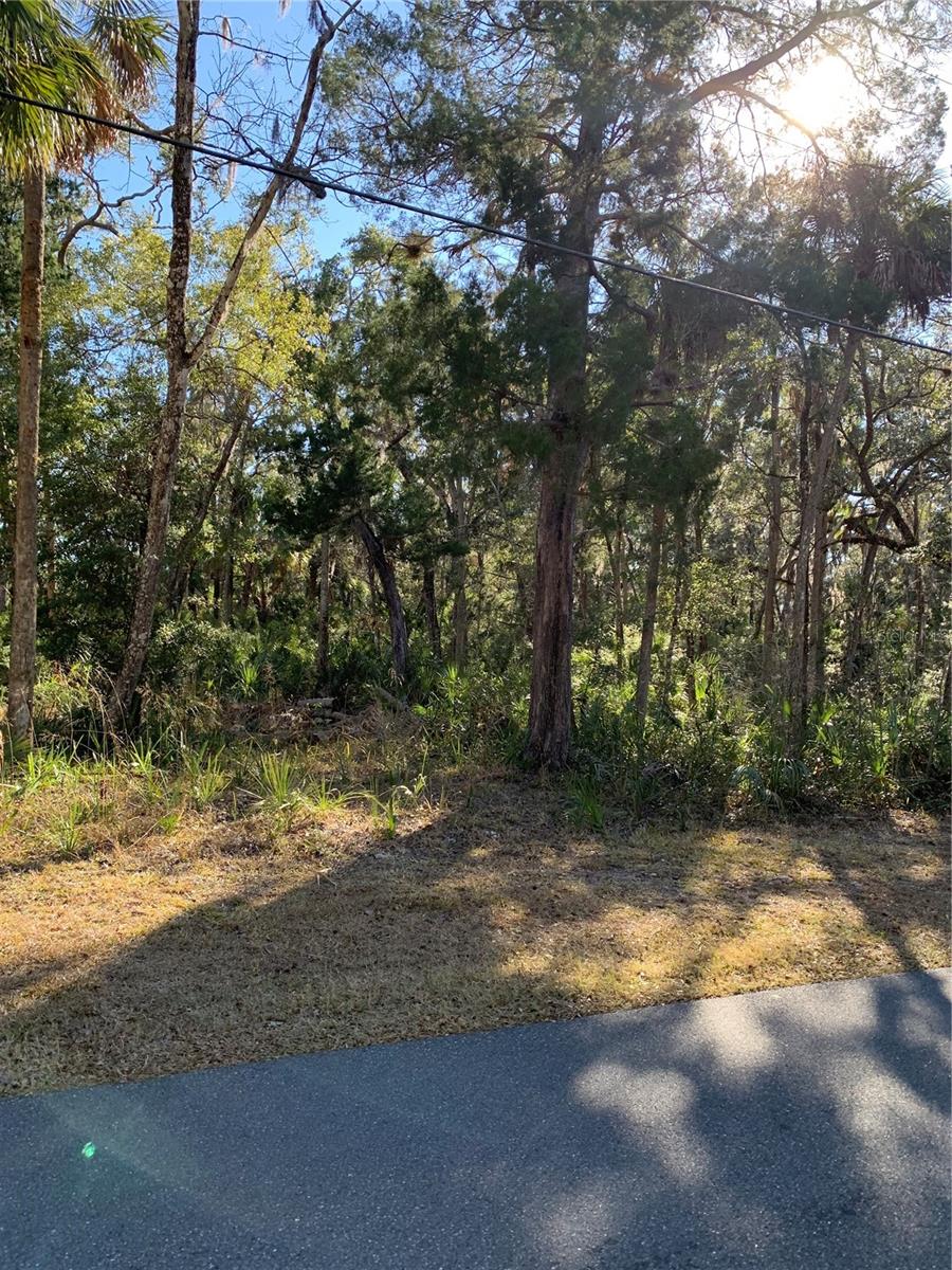 MASON CREEK ROAD - Land