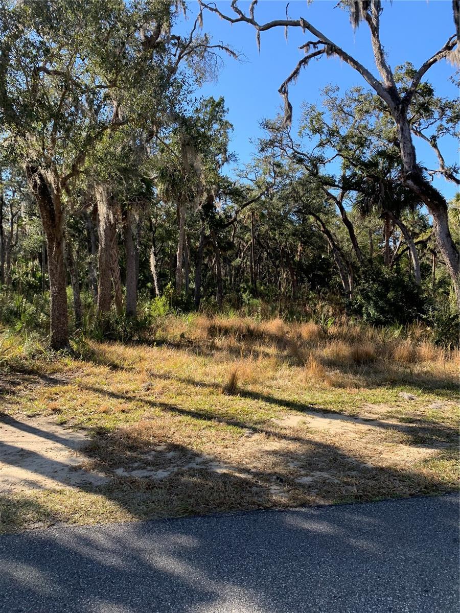 MASON CREEK ROAD - Land